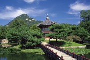 世界田径赛事志愿者团队管理平台上线，世界田径竞标赛