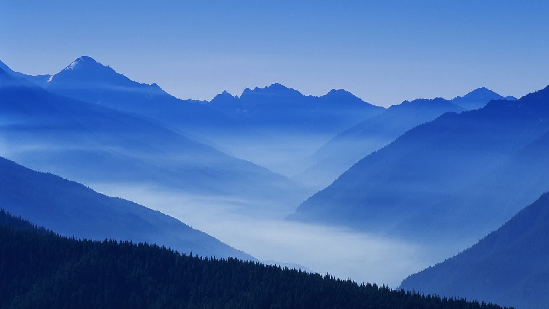世界游泳青训学员选拔细则与营地通知,世界青年游泳记录